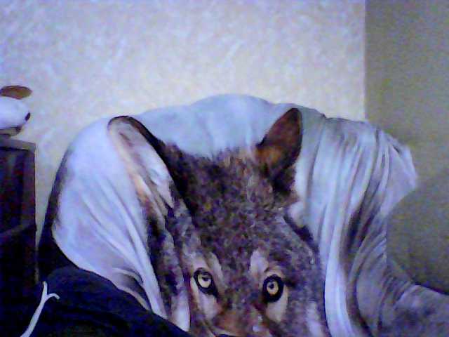 Broadcast Screenshots arinae