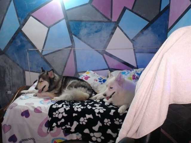 Broadcast Screenshots beautifulchubbyqueen