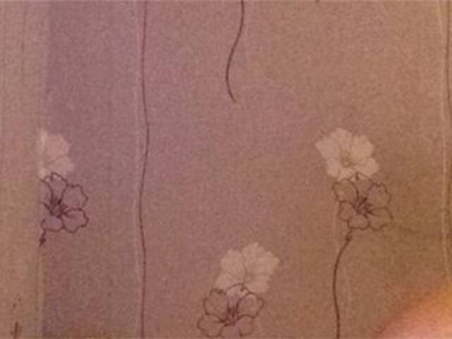 Broadcast Screenshots Brillian7