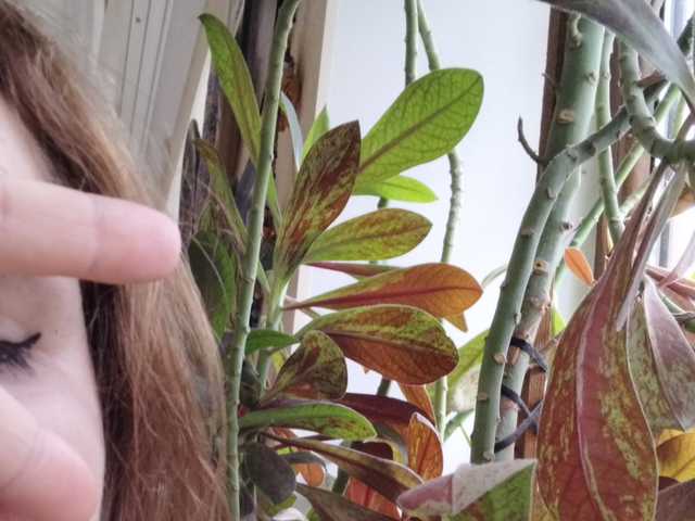 Foto af profilen Crazycouple8