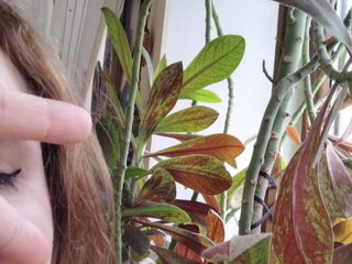 Erotisk videochat Crazycouple8