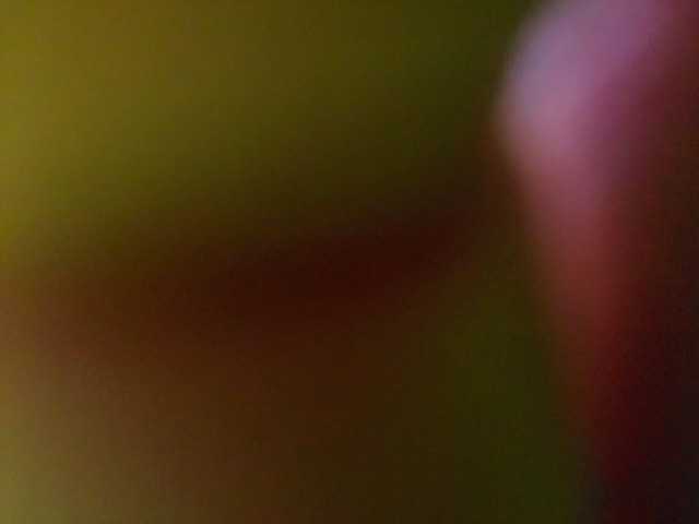 Broadcast Screenshots DiiRolla
