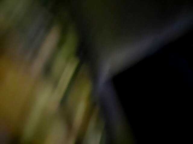 Broadcast Screenshots DiiRolla