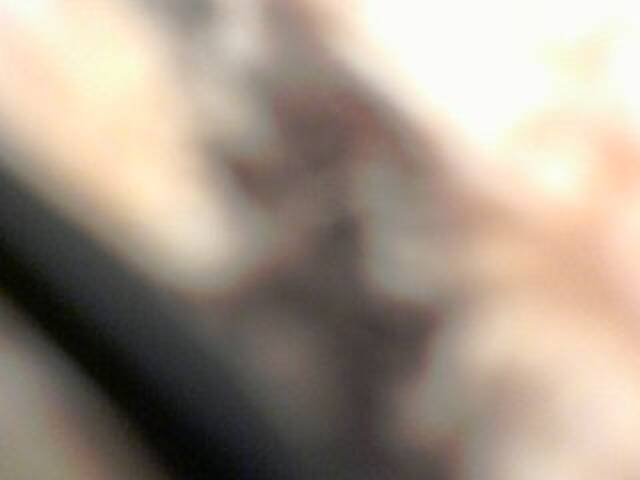 Broadcast Screenshots DIMIYRIA