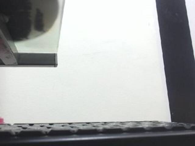 Broadcast Screenshots Dulceik