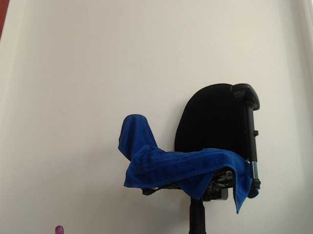 Broadcast Screenshots ElianaKin