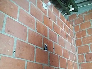 Erotisk videochat EmiliAddams