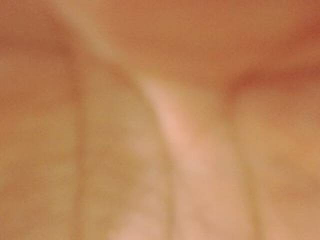 Broadcast Screenshots evabluexx