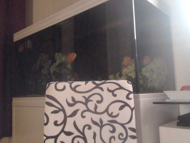 Broadcast Screenshots Farahslut