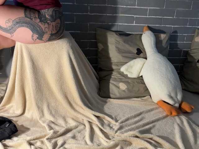 Broadcast Screenshots Fox-Paws