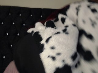 Erotisk videochat Hornyrata