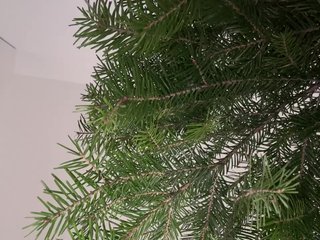 Erotisk videochat _Mimo_