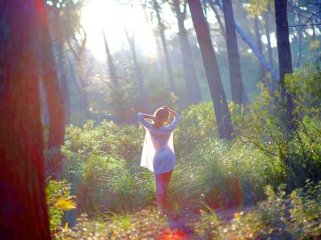 Foto af profilen Fiery_Phoenix