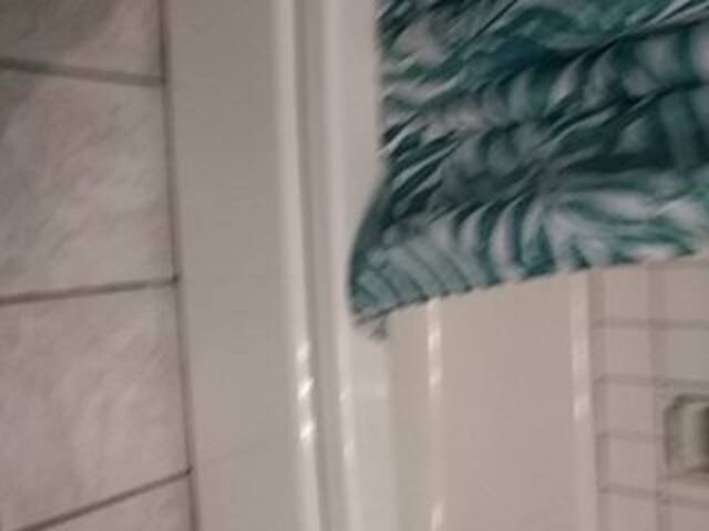 Broadcast Screenshots Maeishowu