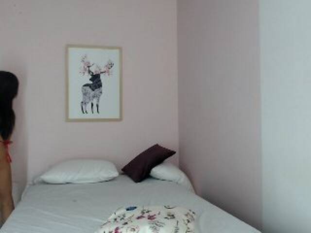 Broadcast Screenshots mariaems