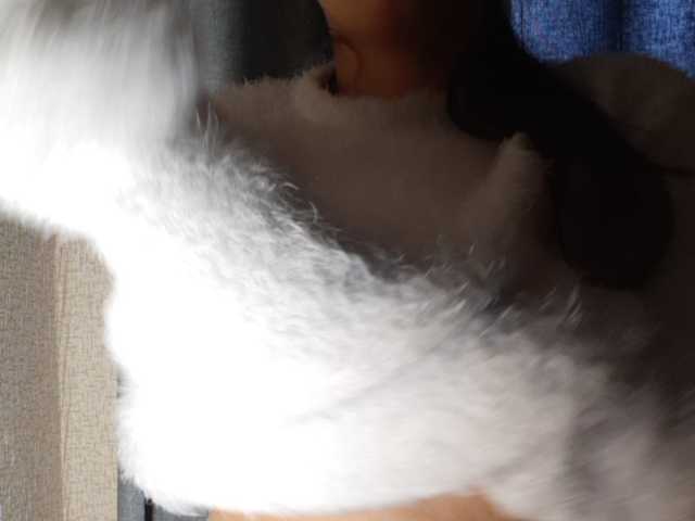 Broadcast Screenshots MASKATV