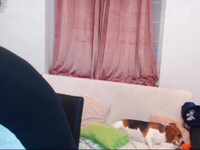 Broadcast Screenshots MaxGACouple