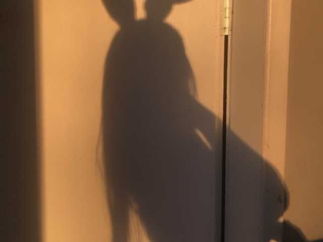Foto af profilen meltemss