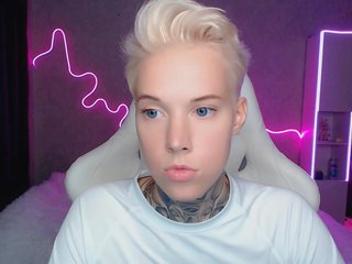 Erotisk videochat tezes