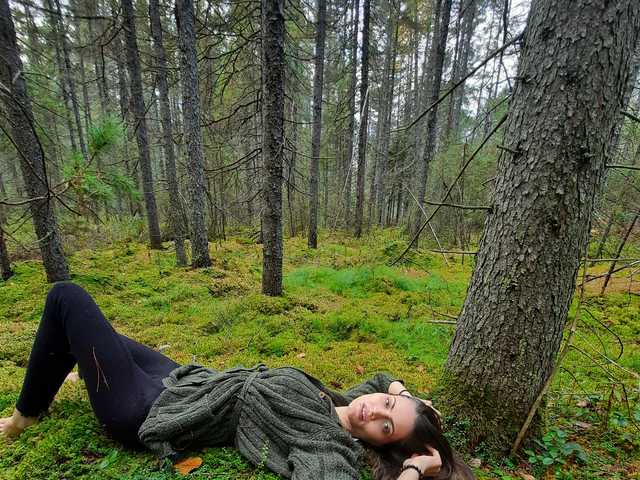 Foto af profilen Nerodiavern