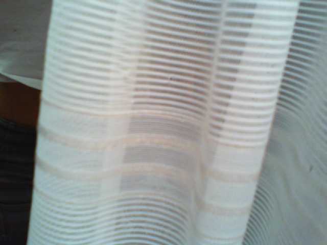 Broadcast Screenshots Paloma2020