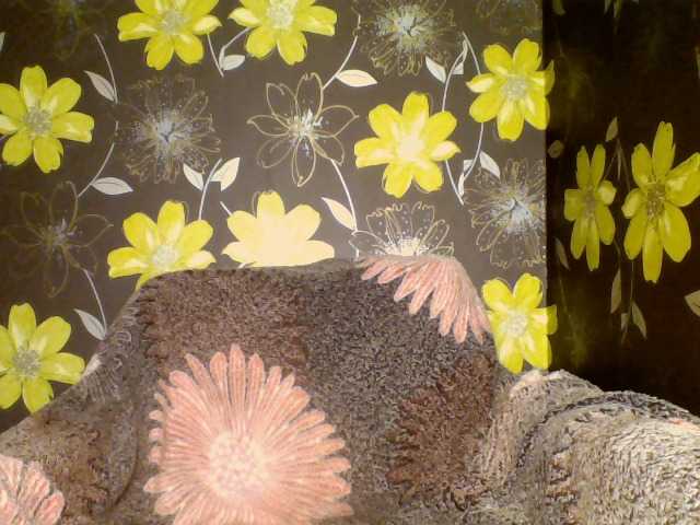 Broadcast Screenshots ParisCindy