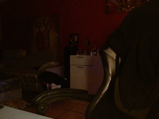 Erotisk videochat Petitoiseaucoquine