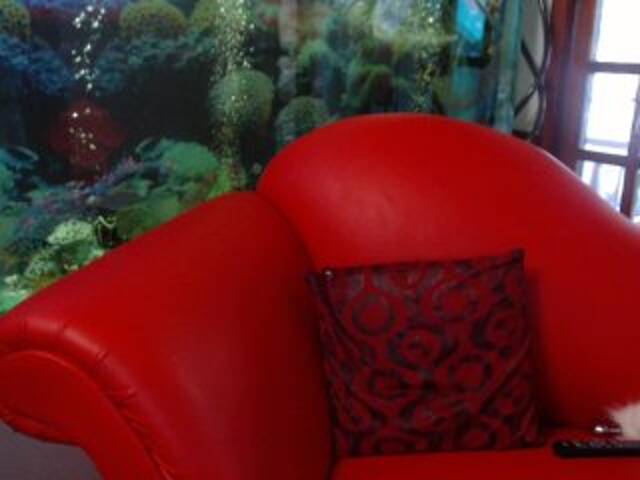 Broadcast Screenshots RoxanneFox