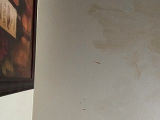 Erotisk videochat Sexylexie18