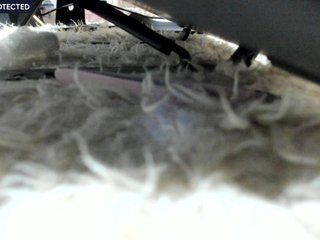 Erotisk videochat Dream_Girl