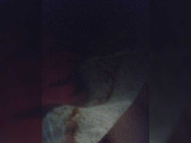 Broadcast Screenshots small-cat