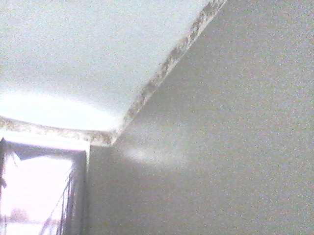 Broadcast Screenshots supa19kitty